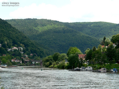 Heidelberg1a.jpg