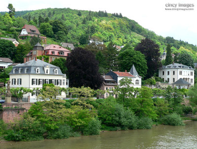 Heidelberg1b.jpg