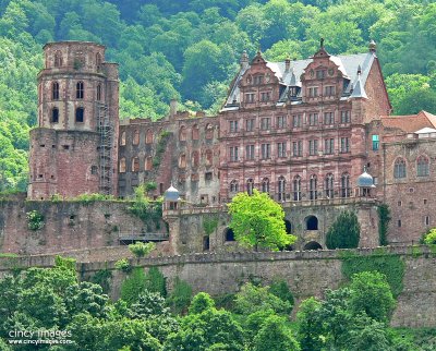 Heidelberg1d.jpg