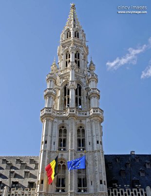 Brussels1v.jpg