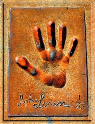 Sophia Loren Palm, Cannes