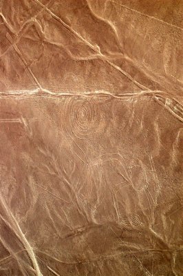 Monkey, Nazca Desert