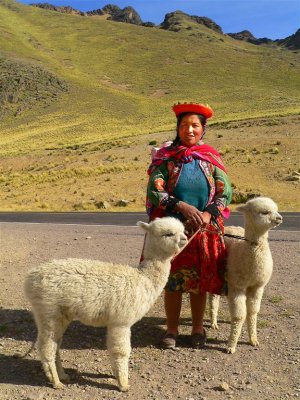 Pretty Gal With Prettiest Alpacas, La Raya Lookout