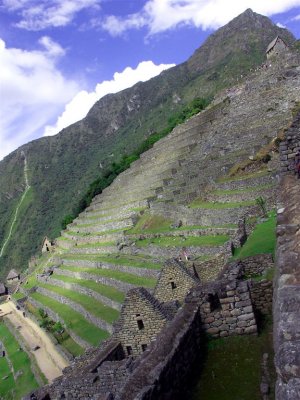 Terraces Of Machu Picchu