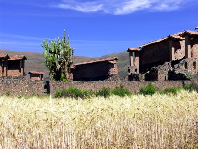 Wiracocha Graveyard Temple Of The Living Dead, Raqchi