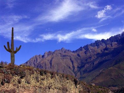 Andes Up High