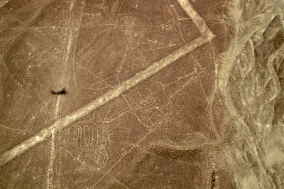Whale, Nazca Desert
