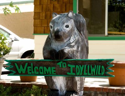 Welcome To Idyllwild