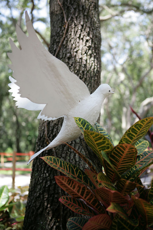 IMG_4382.jpg