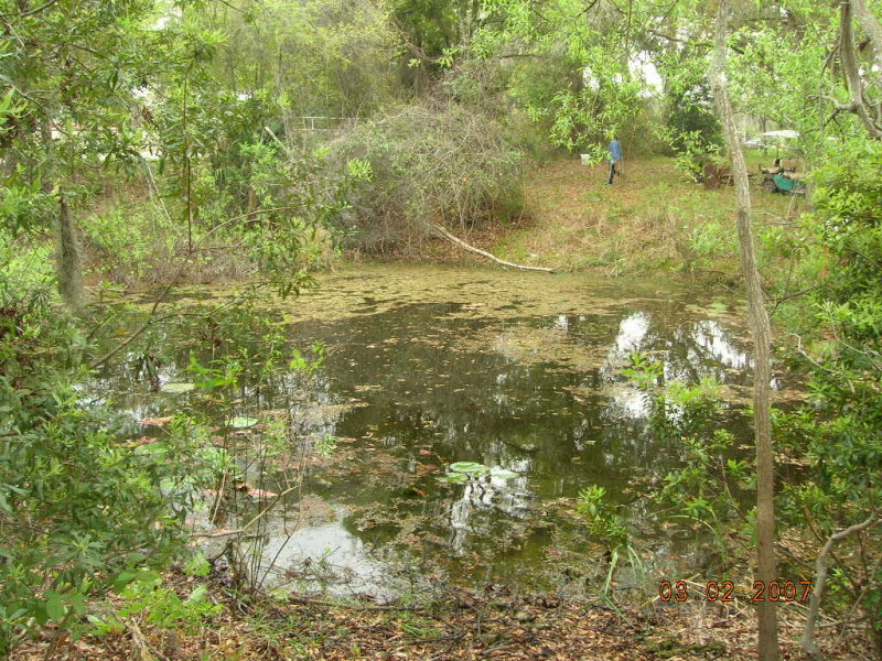 DSCN4839.JPG