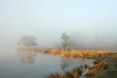 IMGP0090.jpg