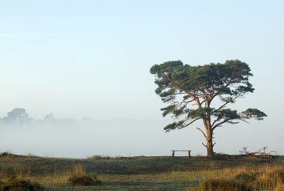 IMGP0100.jpg
