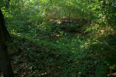 01aIMGP2753-1a.jpg