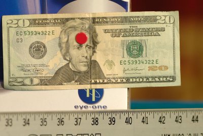 dollar zoom@300mm.jpg