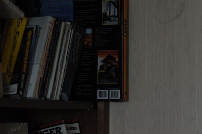 DSC_7469_iso 100.jpg
