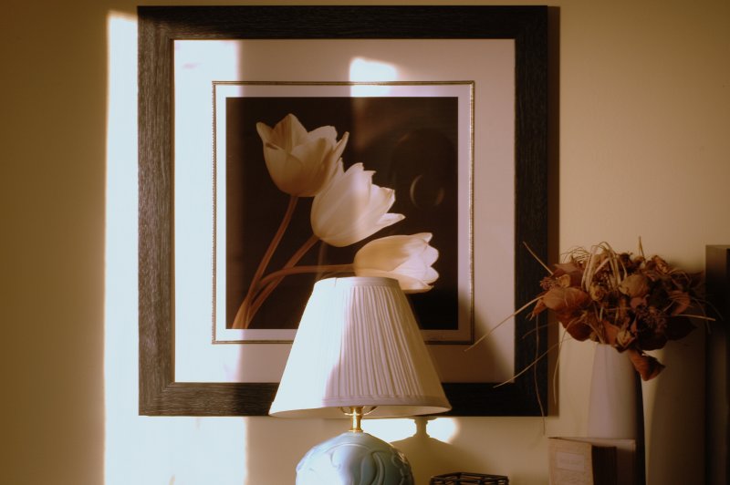 Still Life