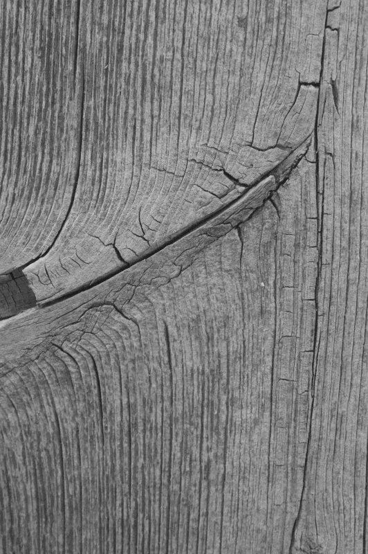 Wood Abstract