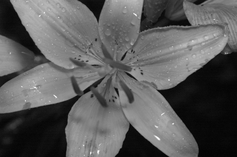 Rain, Relief, Rejoice