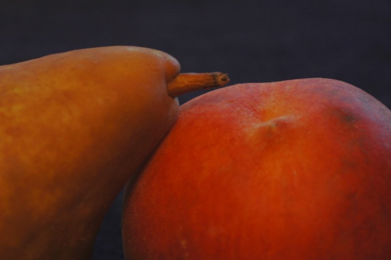 Still Life