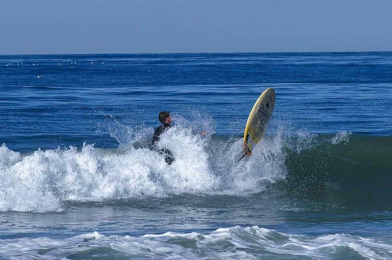 Surf