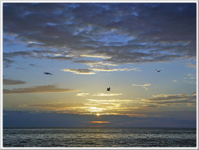 Bonita Beach Evening