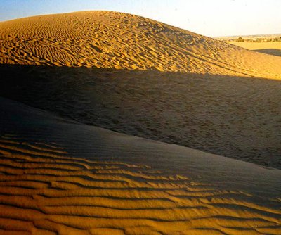Rajastan Desert