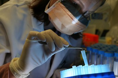 lab