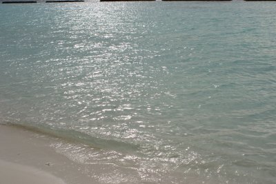 IMG_3763s.jpg