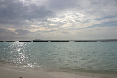 IMG_3768s.jpg