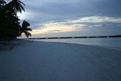 IMG_3778s.jpg