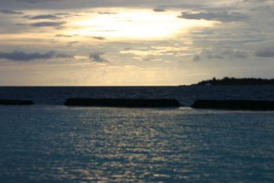 IMG_3844s.jpg