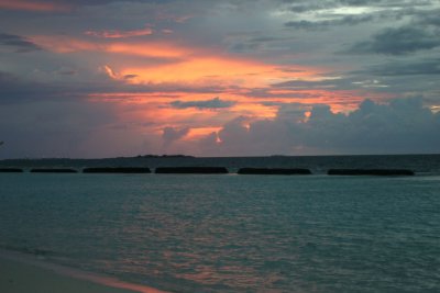 IMG_3895s.jpg