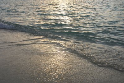IMG_4117s.jpg