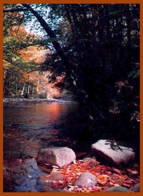 North Bend Autumn River.jpg