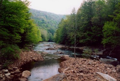 Cranberry River at Woodbine - Spring tb0505.jpg