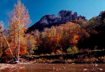 Seneca Rocks Autumn Scene tb1099.jpg