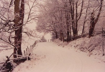 Snowy Road Scene - Split Rail Fence tb1200.jpg