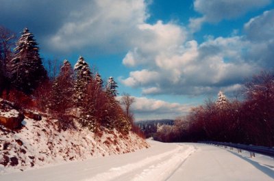 Scenic Trace Winter Rd Scene - Sunny tb1202.jpg