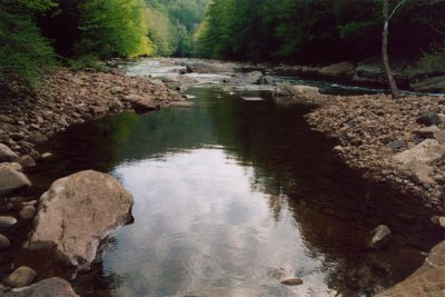 Cranberry River Woodbine Swim Hole tb0505.jpg