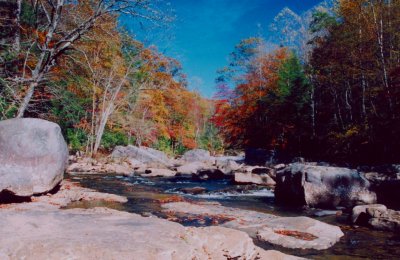 Cranberry River Fall - E View Colors CR tb1006.jpg
