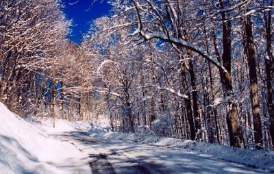 Hinkle Mtn Rd Winter - Snow  Blue Sky tb1203.jpg