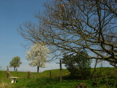 achter in de 'tuin'