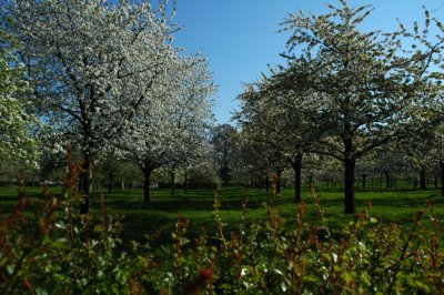 Bij het kasteel van Rullingen