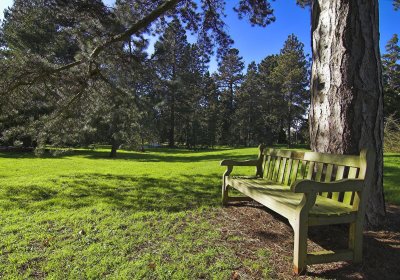 Kew Gardens