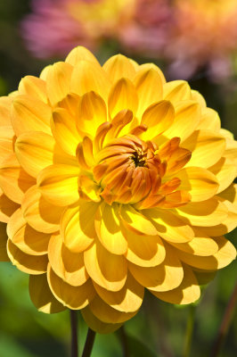 g6/73/560273/3/83400175.QNhHibot.jpg