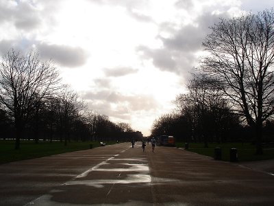 the park2.jpg