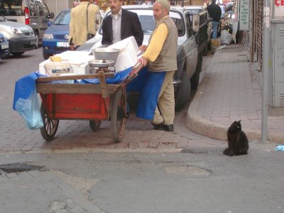 streets of Istanbul17.jpg