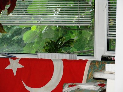 Turkiye Yesilkoy42 looking towards the window.jpg