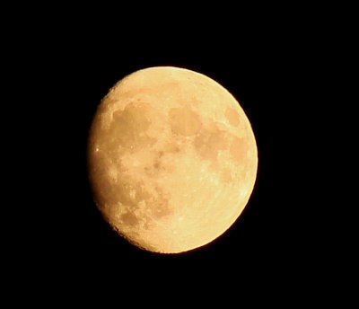 Turkiye KUZULUK 286 moon.jpg