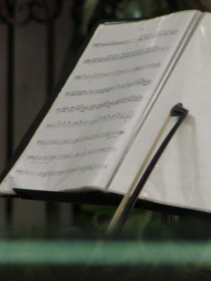 themusicans7.jpg